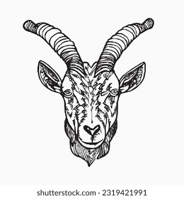 goat handrawn islamic eid al adha