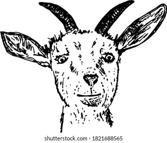 goat head black and white vector illustration