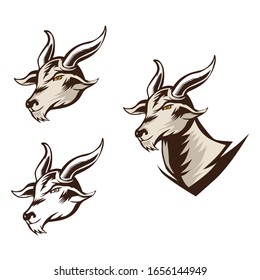Goat Head half body vector Illustration