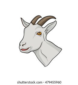 Goat. Goat head. Goat isolated, vector 