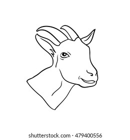  Goat. Goat head. Goat isolated, vector animal head drawn in line 