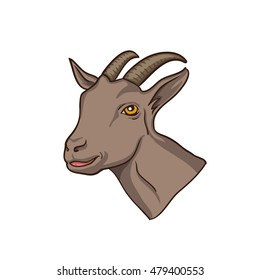 Goat. Goat head. Goat isolated, vector illustration