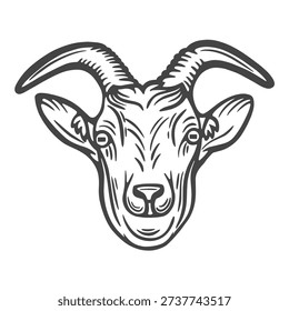 Goat head, portrait, closeup, front view, horns, farm animal, lifestock engraving isolated