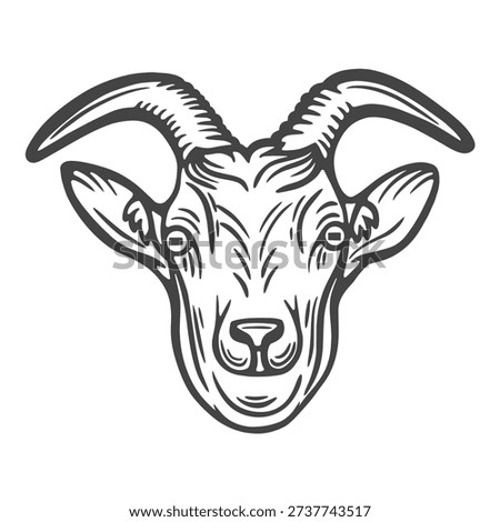 Goat head, portrait, closeup, front view, horns, farm animal, lifestock engraving isolated