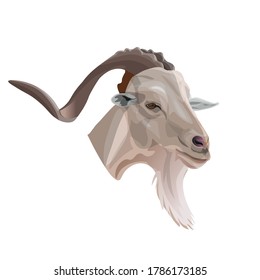 Goat head portrait. Vector illustration isolated on white background