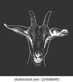 Goat head portrait vector line art illustration on black background