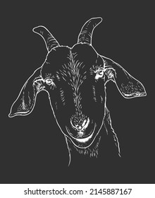 Goat head shot line art illustration on black background