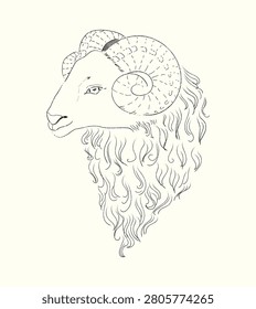 Goat Head Side Profile Hand Drawn Line Art For Chinese New Year 2027 Zodiac Symbol black outline side portrait goat with spiral horn and long wavy flowing beard on a warm background. Fine pen style with detailed texture and graceful linework perfect for tattoo design, boho posters, rustic farm branding, vintage labels, t-shirt prints and nature themed wall art. Chinese New Year 2027 Year of the Goat themed projects.