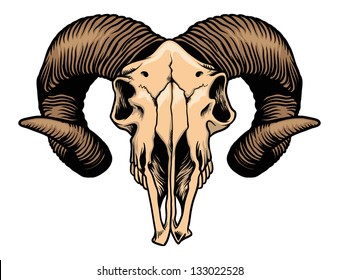 goat head skull