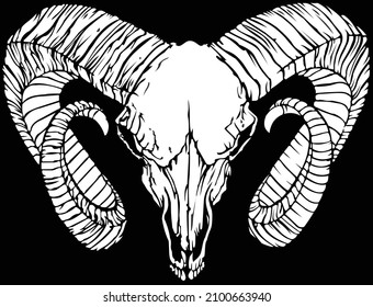 goat head skull bone vector illustration