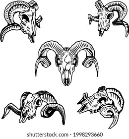 Goat Head Skull Illustration
Logo, Icon, illustration, vector