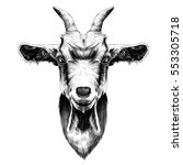 goat head vector black and white sketch