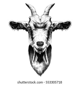 goat head vector black and white sketch