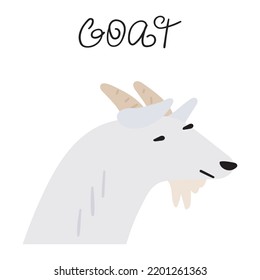 Goat head. Vector hand drawn graphic design. Animal illustration.