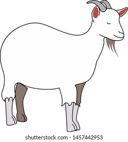 Goat with horns, illustration, vector on white background.