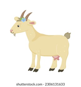 Goat with horns mammal farm animal. Collection funny animal. Cute domestic kind animal in cartoon style small toy goat. Little goat with decoration bouquet of flowers on the head. Vector illustration