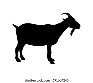 Goat Icon Black Silhouette. Farm animal on white background. Vector illustration design