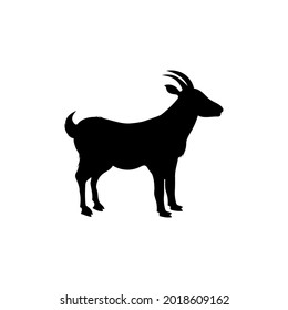 Goat icon design illustration template