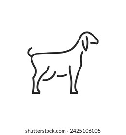 Goat icon.Farm animal, Lamb simple line icon isolated on white background. Vector illustration