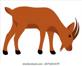Goat Illustration for Eid Al Adha