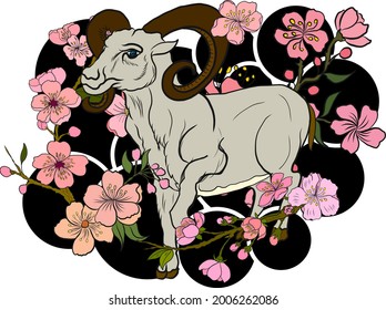 Goat illustration for printing on T-shirt.Year of ram.Chinese new year zodiac sign of set.Chinese zodiac animal signs and Cherry blossom vector on background.