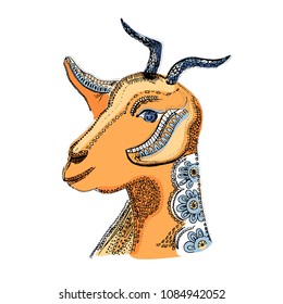 Goat illustration. Vector image of the hand-drawn sketch goat s head. Dairy products, packaging and advertising.