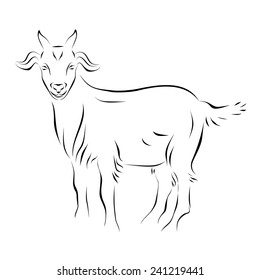 Goat ink line art. Black and white illustration with farm animal. Hand drawn sketch. Ink painting. Design element useful for logo. Vector file is EPS8.