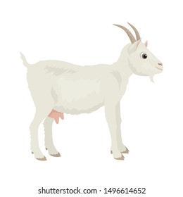 Goat isolated on white background. Vector illustration of farm animal in cartoon simple flat style.