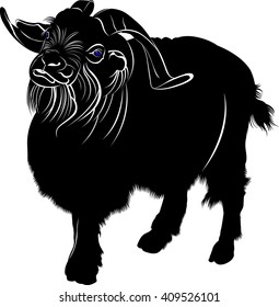 goat isolated on white background