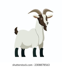 Goat isolated on white. Domestic farm animal. Vector