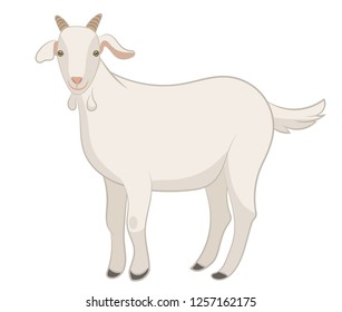 Goat isolated on white, hand drawn vector illustration.