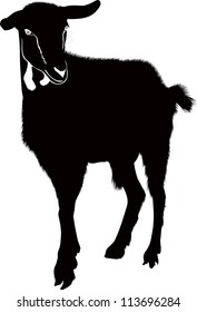 Goat isolated white background vector