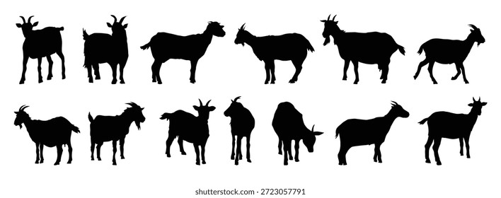 conjunto de silhuetas de cabrito e cabrito. cabrito e cabrito isolado coleção de vetor de ícone de silhueta de animal de fazenda. Ilustração vetorial
