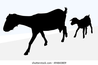 Download Kid Goat Images, Stock Photos & Vectors | Shutterstock