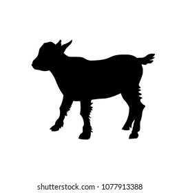 Goat kid silhouette. Vector illustration isolated on white background