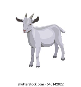 Goat kid. Vector illustration