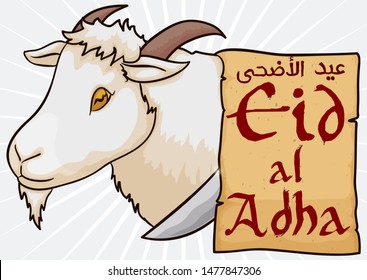 Goat and knife ready for the ritual of sacrifice in the Eid al-Adha or Festival of the Sacrifice (written in Arabic in the scroll).