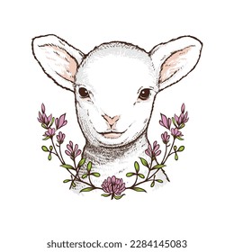 Goat Lamb Head Silhouette Hand Drawn Illustration and Vector Art Stock