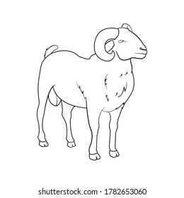 goat line art drawing animal side view