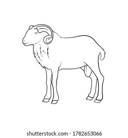 goat line art drawing animal side view