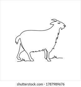 goat line draw coloring animal vector, farm domestic mammal illustration design template