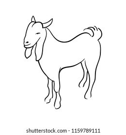 GOAT line logo icon vector.