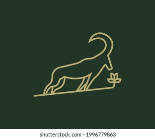 goat logo design, lamb lined logo design, ram logo design