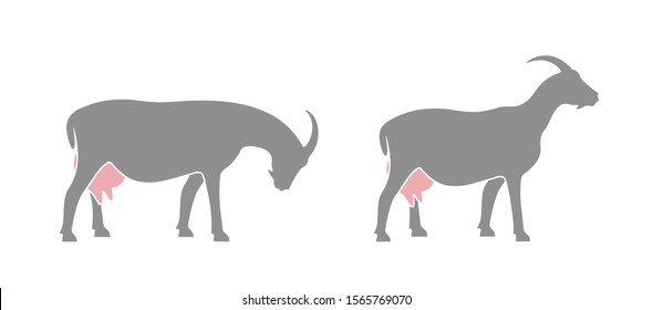 Goat logo. Isolated goat on white background