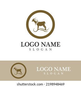 Diseño de ilustración de icono vectorial de la plantilla de logotipo de la gasa