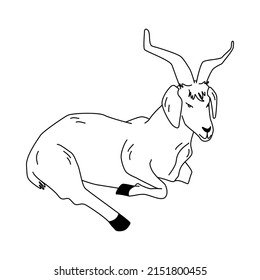 Goat Logo in Vector. Zoo Animals Coloring Illustration. Animal head Icon. Line Art Silhouette. Hand Drawing Cartoon Emblem. Goat Dairy Design. Organic Milk and Cheese Packaging. Chinese Year Sign.