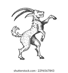 Goat medieval heraldic animal sketch. Magic animal, mythical prancing goat or fantasy creature, heraldry engraved vector sign. Sketch mythology beast ancient insignia or medieval heraldic coat of arms