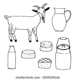 Goat and goat milk products set, vector illustration, hand drawing doodles