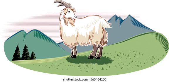 Goat in a mountain landscape.