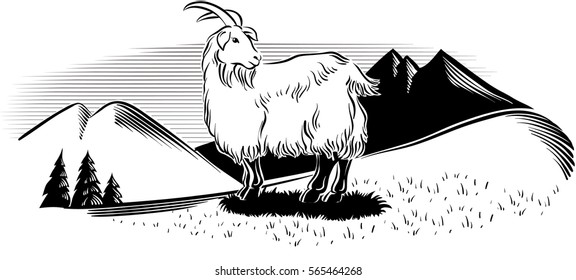 Goat in a mountain landscape.